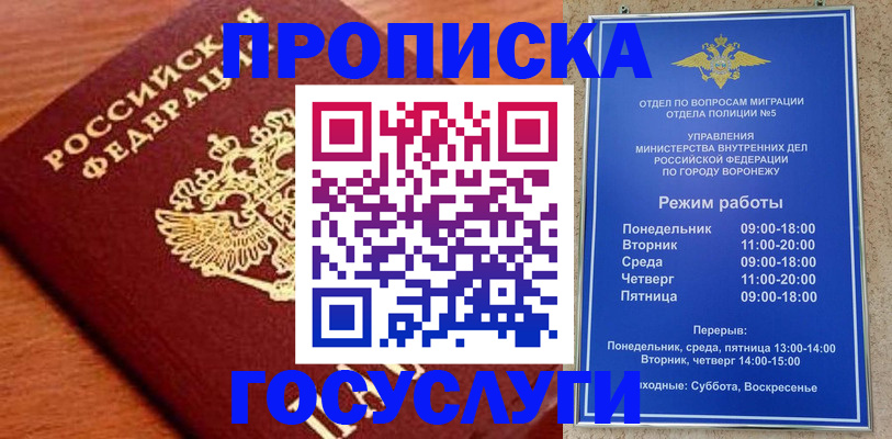 прописка для школы в Камышине